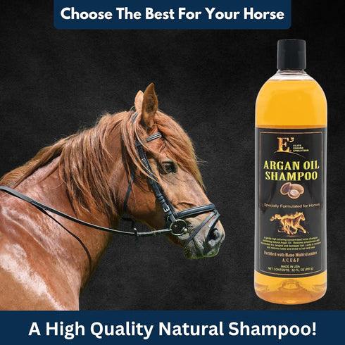 E3 Argan Oil Shampoo - Moisturizing Pet Shampoo, Gentle Formula, Hair Shine, Good for Dogs Too (32 fl oz)
