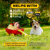 Dog Toys for Aggressive Chewers - Kevlar Fun Animal Super Chewer Toys for Large, Medium, Small Dogs