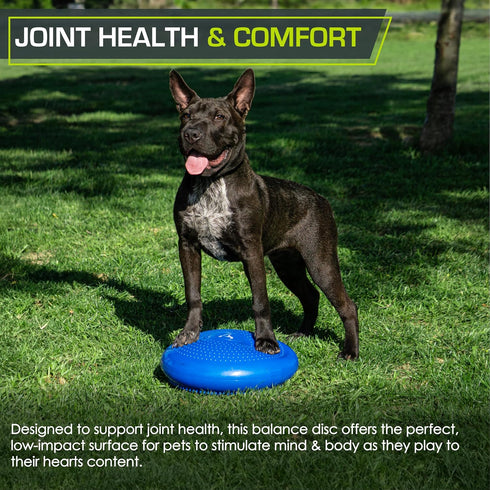 ProsourceFit Core Balance Disc Trainer, 14” Diameter with Pump for Stability, Fitness, Improving Posture