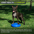 ProsourceFit Core Balance Disc Trainer, 14” Diameter with Pump for Stability, Fitness, Improving Posture