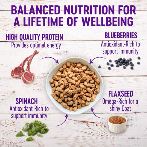 Wellness Complete Health Dry Dog Food with Grains, Natural Ingredients, Lamb & Barley, 5-Pound Bag for Adult Dogs