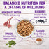 Wellness Complete Health Dry Dog Food with Grains, Natural Ingredients, Lamb & Barley, 5-Pound Bag for Adult Dogs