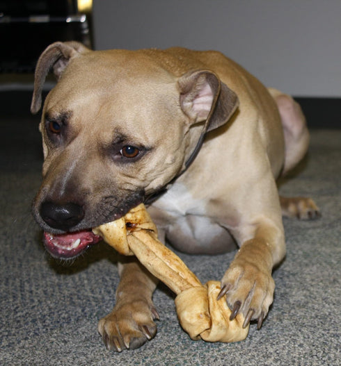 Healthy Beefhide Rawhide Dog Bones, Pack of 3 Flavored Rawhide Bones for Large Dogs Over 55 LBS