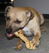 Healthy Beefhide Rawhide Dog Bones, Flavored Chews for Medium Dogs under 55 LBS by RawHideMarket