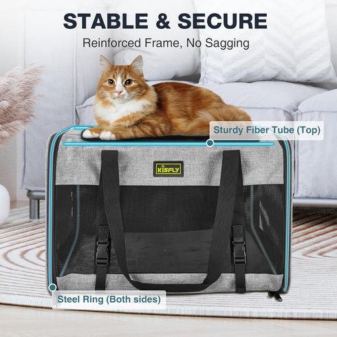 2 25 lbs, 20x13x13 Cat Carrier for Cats/Kitten, Pet Carrier for Cat, Puppy, Small Dog & Bunny, Foldable Soft-Sided