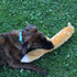 SPOT Skinneeez Extreme Quilted Fox Dog Toy, Durable, Stuffing Free, 4 Layers, 2 Squeakers, Ideal for Medium and Large