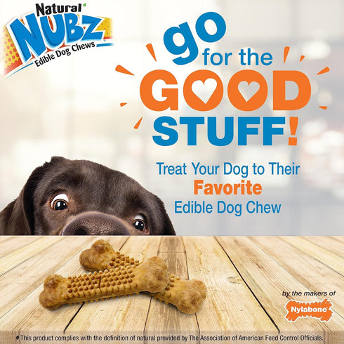 Nylabone Nubz Natural Edible Chew Treats for Dogs, Chicken Flavor, Large - Up to 50 lbs, 8 Count