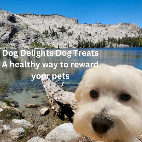 Chewy Duck Sticks Dog Treats - 1kg (2.2 lb) - Wholesome Rewards Made in Canada for Your Furry Friend
