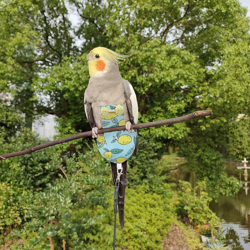 80 Inch VANFAVORI Bird Diaper Harness Flight Suit Clothes with Flying Leash for Parrots Cockatiel Pet Bird, Lemon