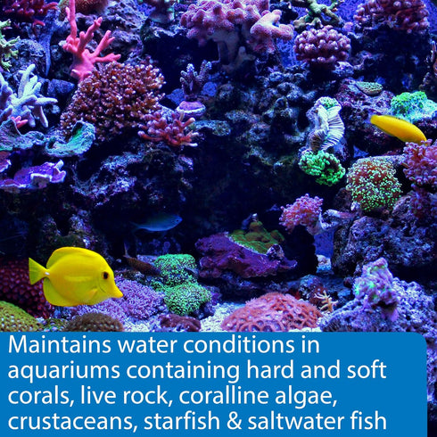 API MARINE COMPLETE TRACE Aquarium Water Conditioner - 16-Ounce Bottle