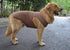 2018 Pet Clothes Dog Clothing - Blank T-Shirt Tanks Top Vests for Small to Large Dogs, 100% Cotton Summer Vest (XL,