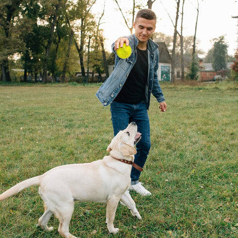 VITEVER 3.5” Squeaky Dog Toy Balls (6 Colors) for Medium, Large & Small Dogs, Durable, Non-Toxic, BPA Free, Chew Toys