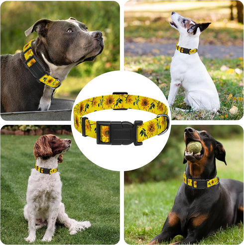 Dog Collar - Sunflower Floral for Boys Girls, Adjustable Soft Sunflower Pet Collar with Safety Buckle for Small Medium