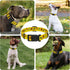 Dog Collar - Sunflower Floral for Boys Girls, Adjustable Soft Sunflower Pet Collar with Safety Buckle for Small Medium