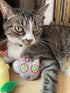 Smokey's Stash Catnip Filled Cat Toys, Sisal Mouse and Ball