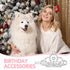 MTLEE 2 Pieces Dog Tiara Crown Hair Clips, Clear Crystal Rhinestone Barrettes for Pet Grooming