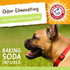 Arm & Hammer Rock-N-Roller Stuffable Dental Chew Toy, Perfect Fit for Tennis Ball, Tough Chew Toy