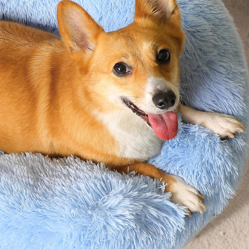 WESTERN HOME WH Calming Dog Bed & Cat Bed, Anti-Anxiety Cozy Soft Round Bed for Small Medium Dogs and Cats