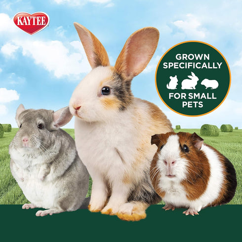 24 oz Kaytee Timothy Hay Plus Carrots for Pet Guinea Pigs, Rabbits & Other Small Animals