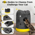 Cat Play Bag Collapsible Cat Activity Center Mat Play Rug Cats Activity Adventure Carpet Cats Tunnel Bags Drill