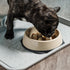 IRIS USA 2 Cups Slow Feeder Dog Bowl, Anti-Choking, Easy to Clean, Interactive Puzzle Toy, Beige/Black