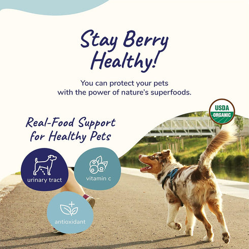 kin+kind Dog Supplement Powder for Healthy Immunity, Bladder Support, Natural Formula, 4 oz, Made in USA