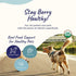 kin+kind Dog Supplement Powder for Healthy Immunity, Bladder Support, Natural Formula, 4 oz, Made in USA