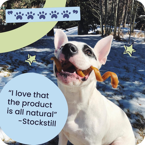 5-8" 100% 8 oz Packaging Pawstruck Natural Bully Sticks for Dogs - Best Long-Lasting, Rawhide-Free, Low Odor Dental