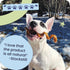 5-8" 100% 8 oz Packaging Pawstruck Natural Bully Sticks for Dogs - Best Long-Lasting, Rawhide-Free, Low Odor Dental