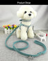 Dog Collar & Harness & Lead Sets, Fashion Diamante Dog Collar with Comfortable Soft Harness and Leashes Set - Blue - S