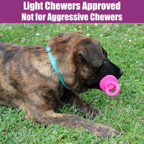 SPOT 4.5 Inch, Puppy Pacifier Latex Dog Toy Soft Binky-Shaped Chew for Teething Puppies & Small Dogs, for Light Chewers