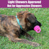 SPOT 4.5 Inch, Puppy Pacifier Latex Dog Toy Soft Binky-Shaped Chew for Teething Puppies & Small Dogs, for Light Chewers