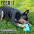 Chew King Premium Treat Dog Toy, XL, Extremely Durable Natural Rubber Fillable Toy for All Breed Sizes