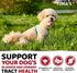 170 Immune Dog UTI Chews - Treats - Cranberry Supplement for Dogs - Bladder Control - Digestion & Support - Urinary