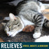 OurPets Play-N-Squeak Mouse Hunter Cat Toys (Interactive Cat Toy & Catnip Toy with Real Mouse Electronic Sound) Perfect