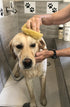 Sea Sponges for Dogs, Luxury Canine Bath Care for Pet Grooming