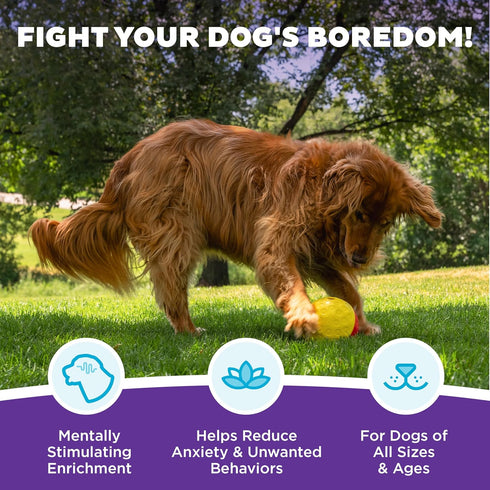 1 5.8" Outward Hound by Nina Ottosson Treat Tumble Interactive Food-Dispensing Dog Puzzle Ball, Level Beginner, Large