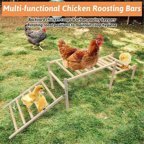 Hamiledyi Sloped Chicken Perch for Coop - Climbable Roosting Perch with Playground Design, Encourages Natural Exercise