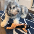 SPOT Skinneeez Extreme Stuffers Cow Dog Toy 14in - Stuffing Free with Squeaker & Rip Stop Mesh for Small to Medium Dogs