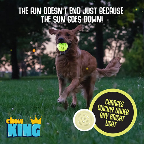 Chew King Glowing Fetch Ball, Dog Ball Toys, Medium 2-Pack