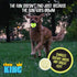 Chew King Glowing Fetch Ball, Dog Ball Toys, Medium 2-Pack