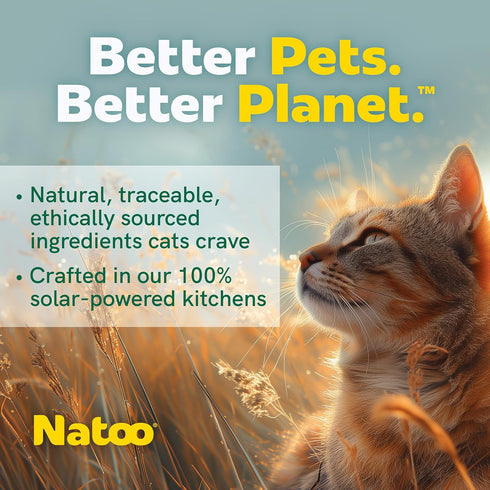 NATOO Cat Food Topper for Picky Eaters, Chicken & Brown Rice in Broth, Wet Cat Food, 2.4 oz (Case of 20)