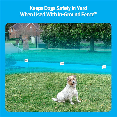 In-Ground Add-A-Dog Collar, Adjustable Waterproof Collar for Small Medium Large Dogs, 4 Static Correction Levels,