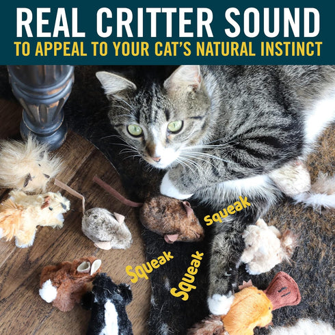 OurPets Play-N-Squeak Mouse Hunter Cat Toys (Interactive Cat Toy & Catnip Toy with Real Mouse Electronic Sound) Perfect
