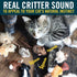 OurPets Play-N-Squeak Mouse Hunter Cat Toys (Interactive Cat Toy & Catnip Toy with Real Mouse Electronic Sound) Perfect