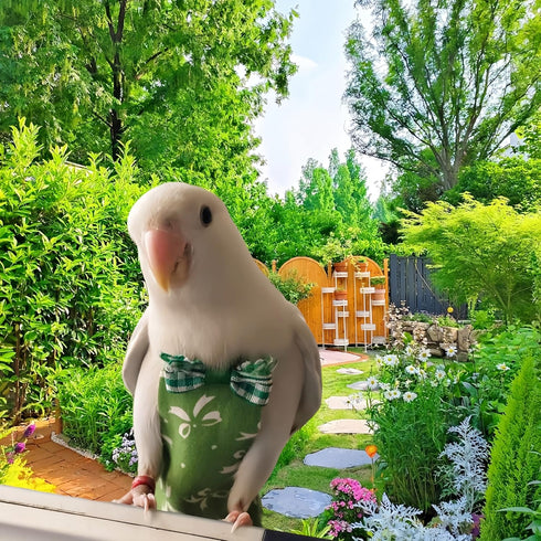 Magnoloran 5 Pcs Bird Diapers Bird Harness Flight Suits Diapers Reusable Parrot Nappy with Waterproof Inner Layer