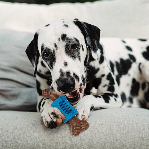 SPOT Bam-Bones PLUS Dental Chew Bone, Bamboo Fiber & Nylon with Massaging Rubber Center for Aggressive Chewers
