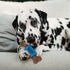 SPOT Bam-Bones PLUS Dental Chew Bone, Bamboo Fiber & Nylon with Massaging Rubber Center for Aggressive Chewers