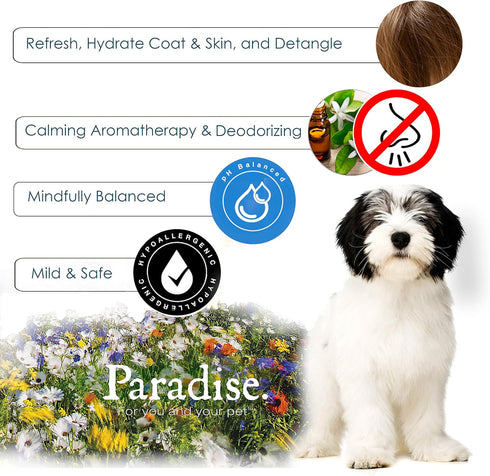 Best Shot Scentament Spa Botanical Body Splash - Alcohol-Free Body Spray Conditioner for Pets, Pina Colada, 8 Oz.