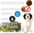 Best Shot Scentament Spa Botanical Body Splash - Alcohol-Free Body Spray Conditioner for Pets, Pina Colada, 8 Oz.